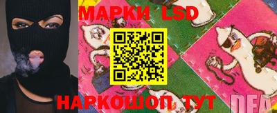 молекула духа Будённовск