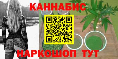 молекула духа Будённовск