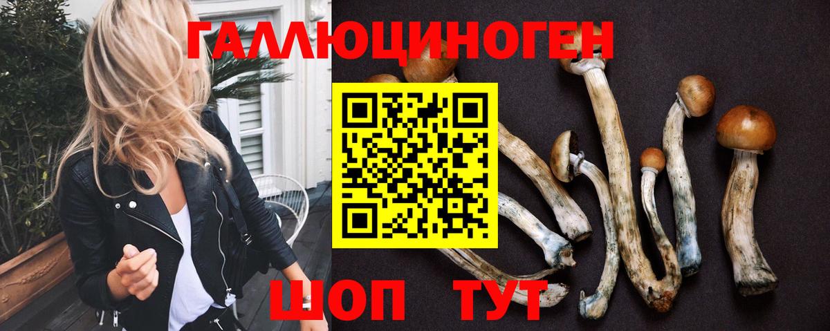 Галлюциногенные грибы MAGIC MUSHROOMS Находка