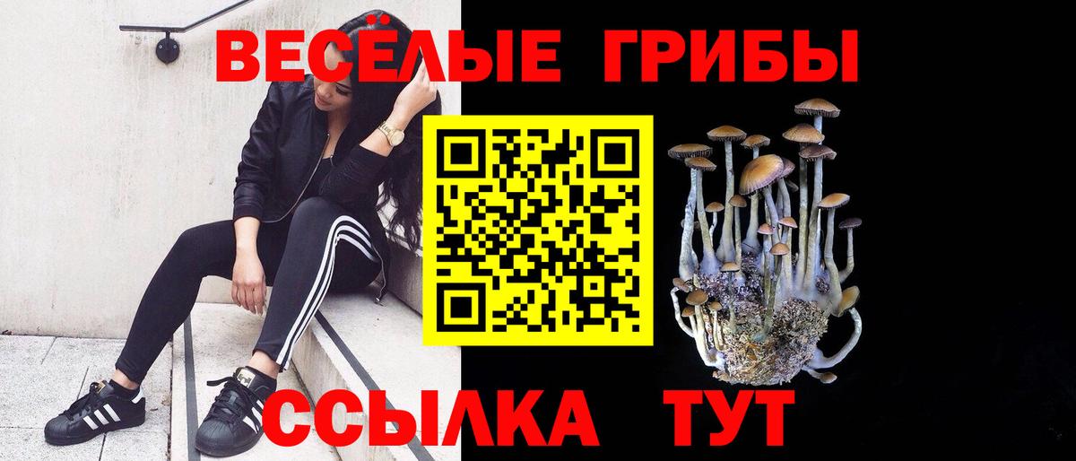 Псилоцибиновые грибы прущие грибы  где найти наркотики  Находка  Вход с VPN 